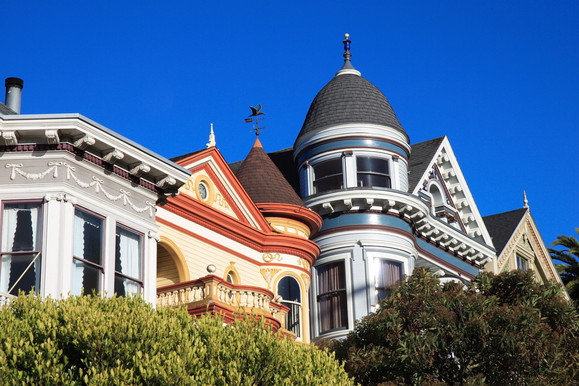 San Francisco Painted Ladies